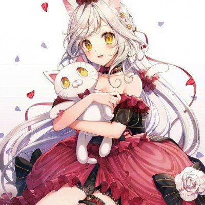 边牧把猫猫当成了枕头